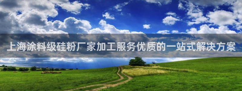 爱游戏电子竞技平台官网首页：上海涂料级硅